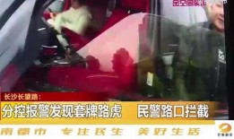 辽宁省内爆料事件最新,揭秘神秘事件背后的真相